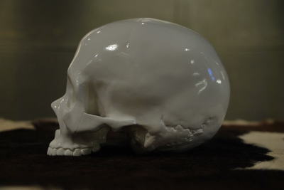 �V�F���^�[�o���N�@�I���W�i���@�g�C�@�h�N���@�q���[�}���@���@�摜�@��